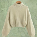 Turtle Neck Sweater Elegant Long Sleeve