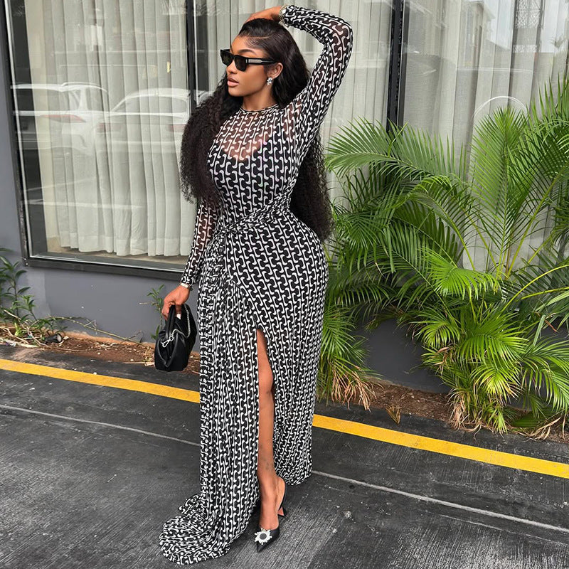 Women Split Slightly Transparent Waist Hip Dress Printed Turtleneck Long Sleeve Dress