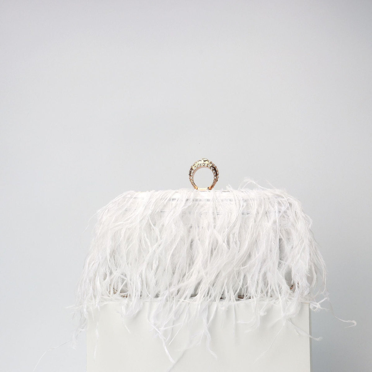 Elegant Ostrich Hair Ring Box – Small Square Bag with Chain Crossbody Shoulder Velvet Evening Clutch Purse, Perfect for Dinner, Casual Outings, Party Events, and Prom Nights